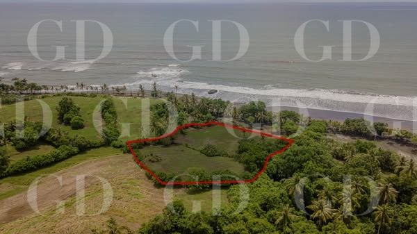 EXCEPTIONAL FREEHOLD LAND